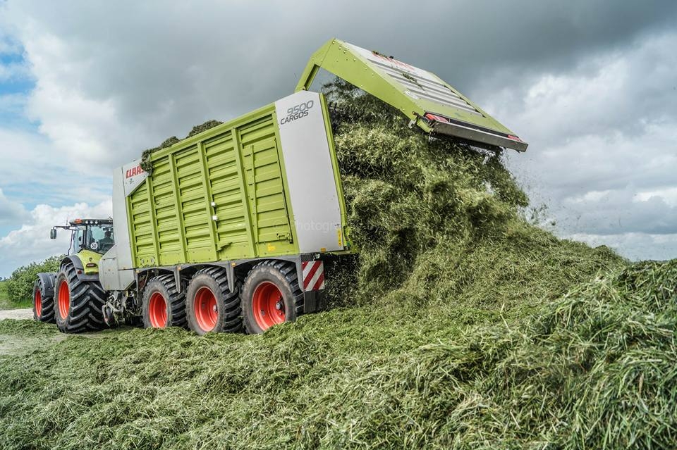 Dienstleistungen / Lohnunternehmen